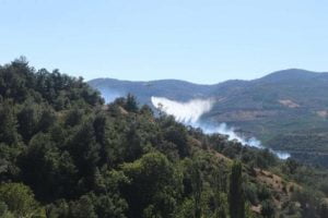 Soma’da Orman Yangını