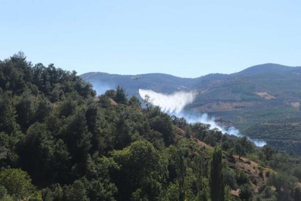 Soma’da Orman Yangını