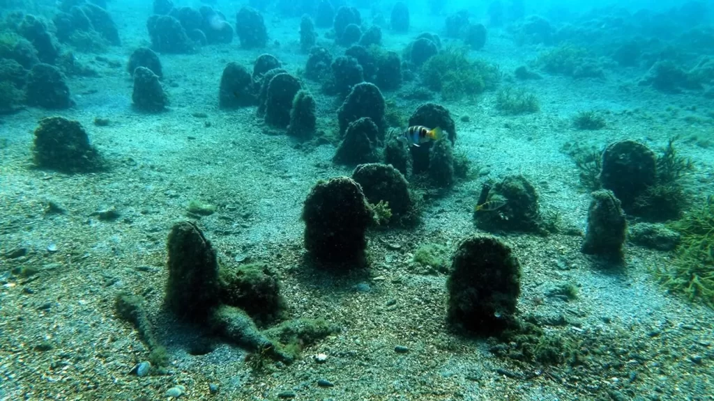 Deniz suyu soğumuyor: ‘Ani yağışlara sebep olabilir’