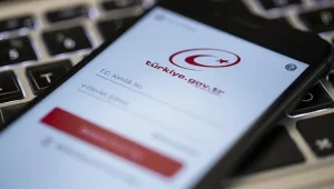 e-devlet 15 yaşında | En çok hangi hizmet kullanıldı?