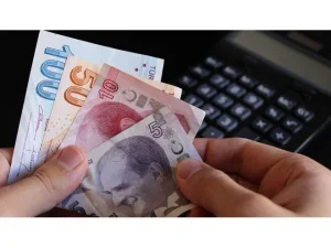 Pasaport, ehliyet, cep telefonu | 2024 yılı yeni vergi ve harç tutarları belli oldu