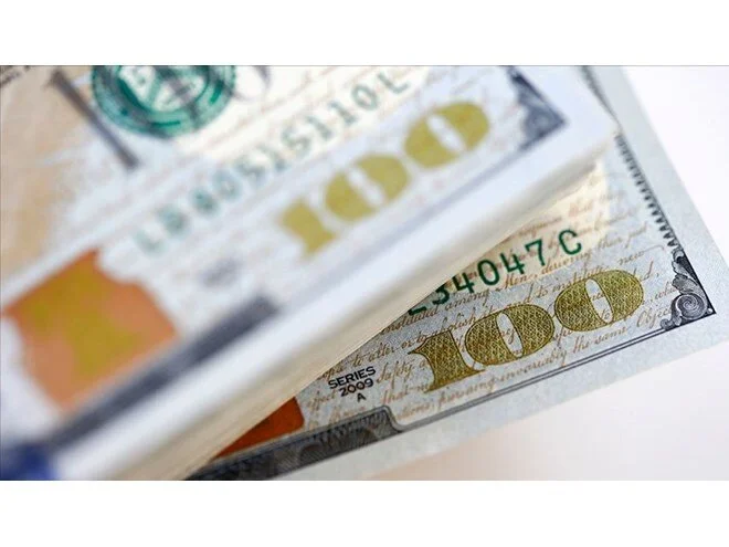 Merkez Bankası rezervlerinde bir rekor daha