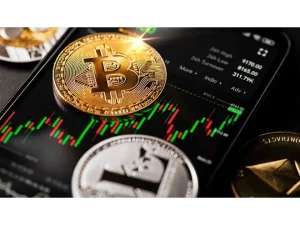 Kripto paraların yarısı yok oldu