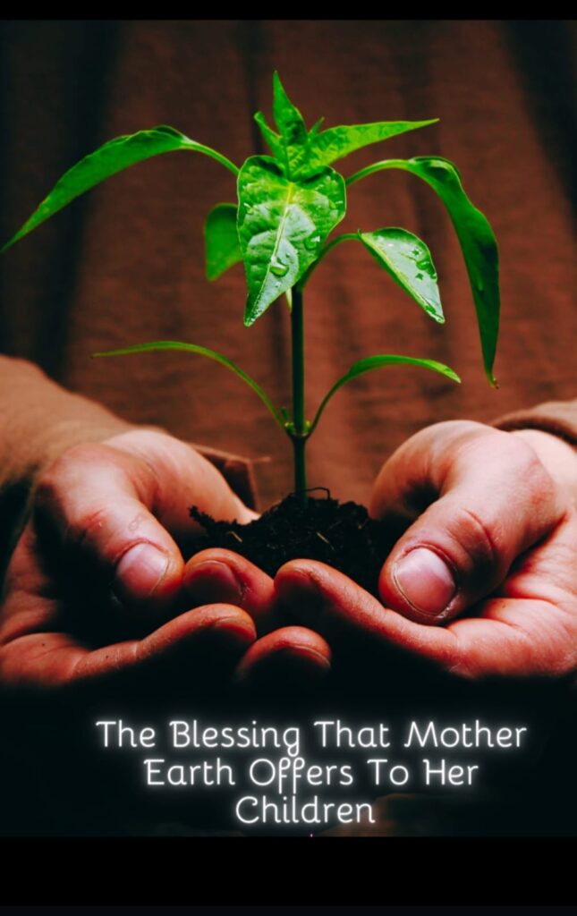 Köy okulunda “TOPRAK ANA” projesi!