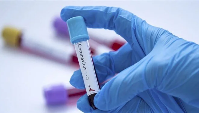 20 milyon kişiyle araştırma: Coronavirüs aşısı kalbi korudu mu?