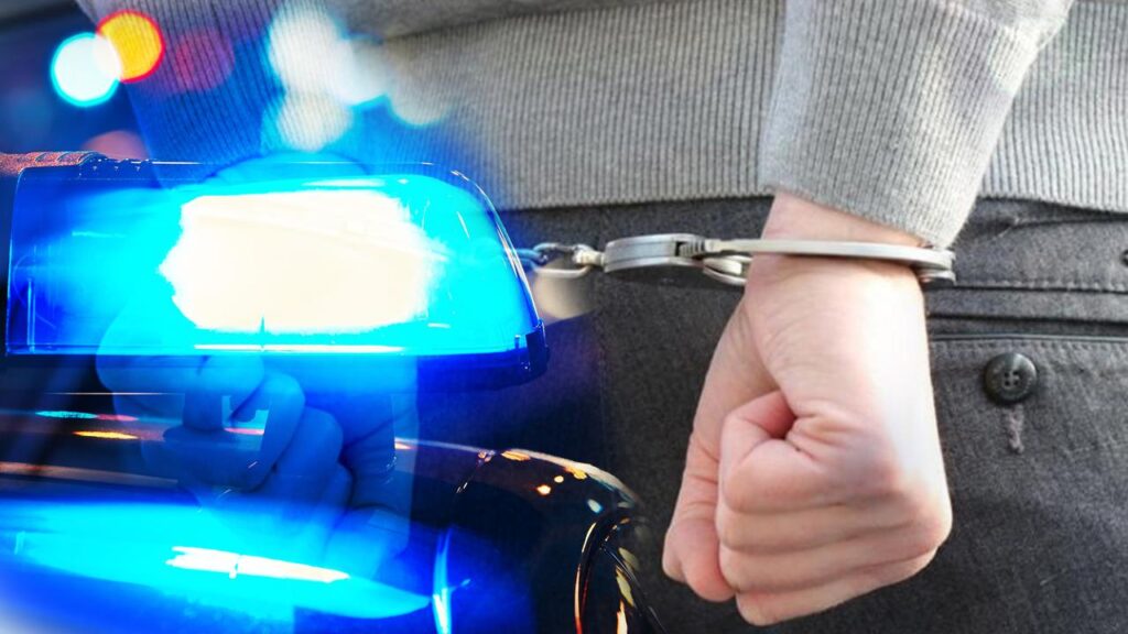 8 ilde “Bozdoğan-15” operasyonu: 24 gözaltı