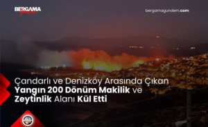 Çandarlı ve Denizköy Arasında Çıkan Yangın 200 Dönüm Makilik ve Zeytinlik Alanı Kül Etti