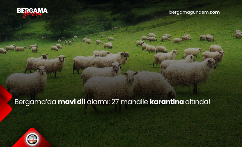 Bergama’da Mavi Dil Alarmı: 27 Mahalle Karantina Altında