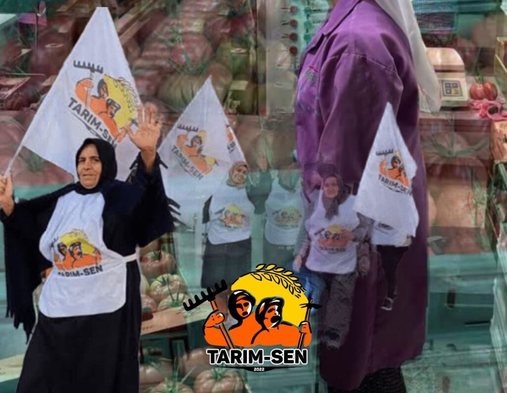 Agrobay Seracılık’ta işten çıkarma davalarında karar: Dört işçi tazminata hak kazandı